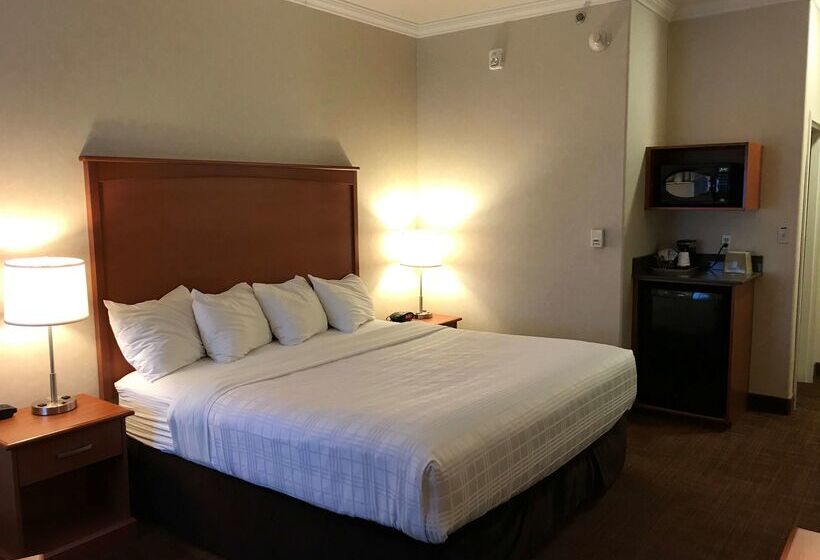 هتل Best Western Thunder Bay Crossroads