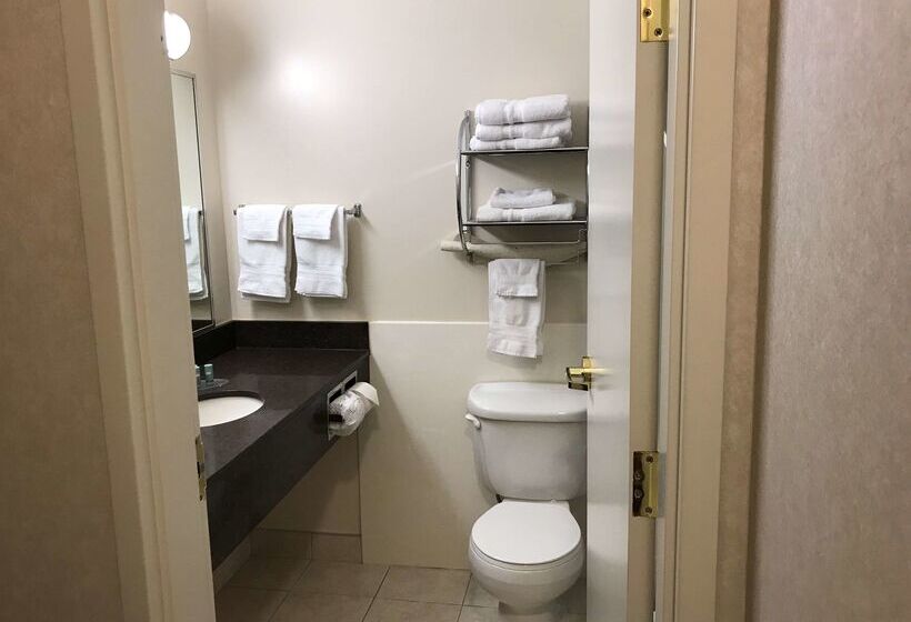 هتل Best Western Thunder Bay Crossroads