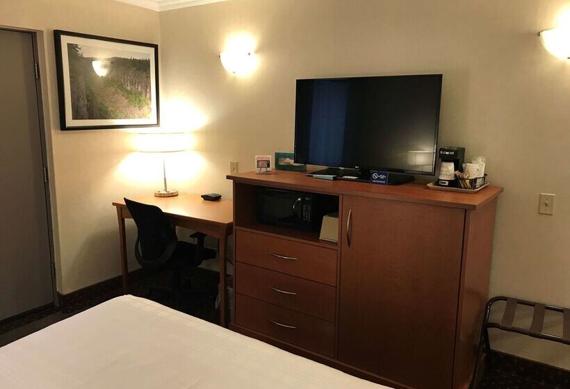 هتل Best Western Thunder Bay Crossroads
