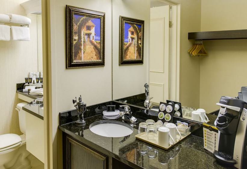 هتل Black Knight Inn