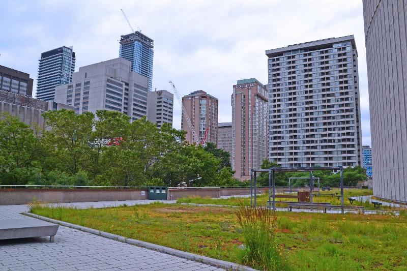 هتل Chestnut Residence And Conference Centre  University Of Toronto