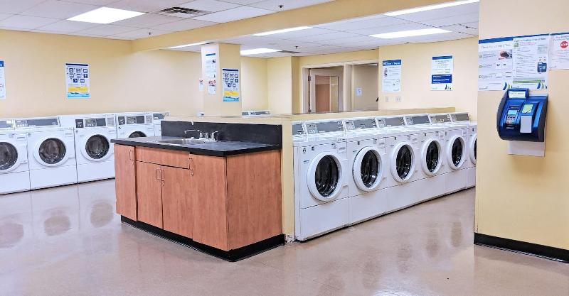 هتل Chestnut Residence   Campus Accommodation
