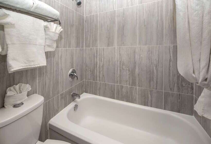 هتل Clarion Pointe