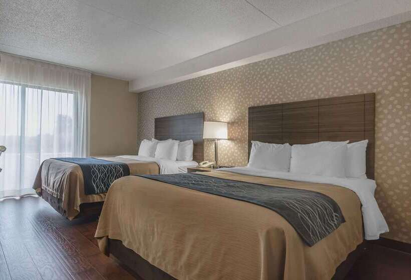 Hotel Comfort Inn  Levis