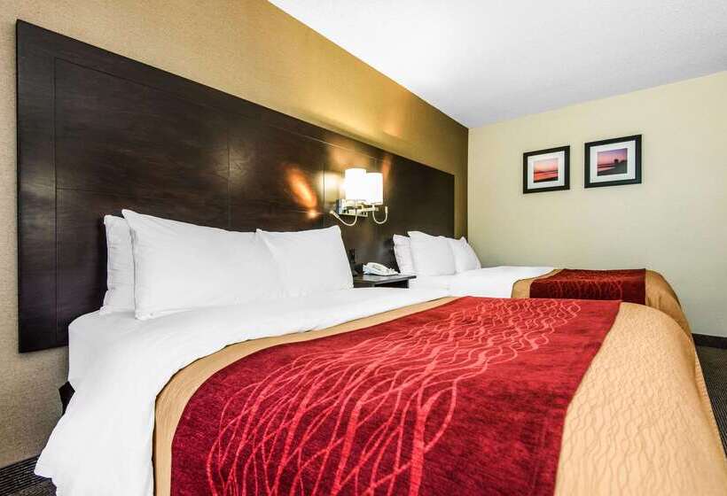 Отель Comfort Inn