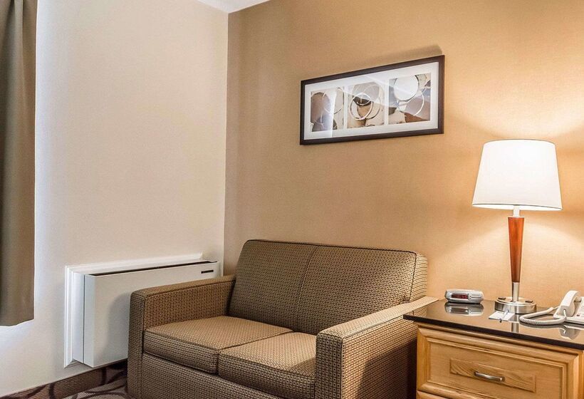 Отель Comfort Inn Riviereduloup
