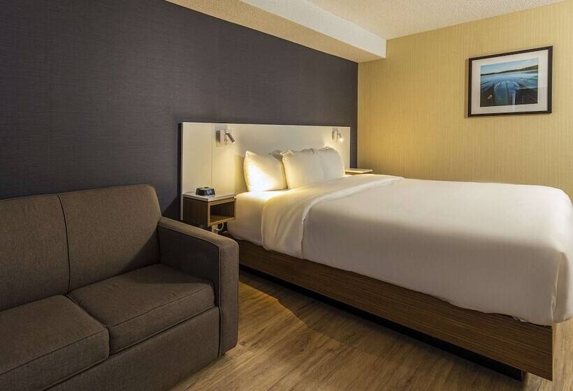 בית מלון כפרי Comfort Inn