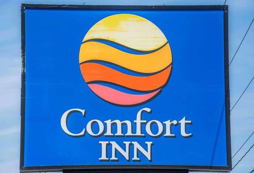 酒店 Comfort Inn