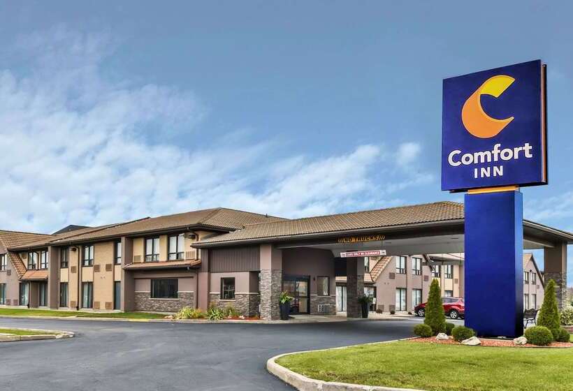هتل Comfort Inn