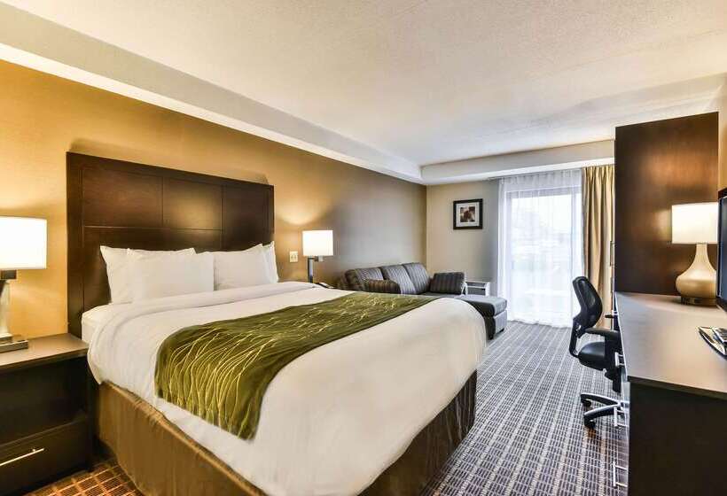 Hotel Comfort Inn  Windsor