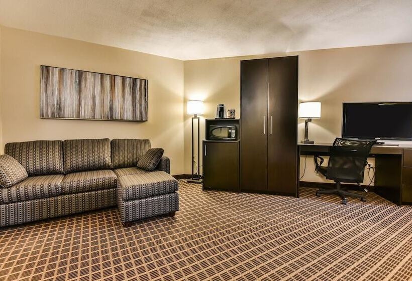 Hotel Comfort Inn  Windsor