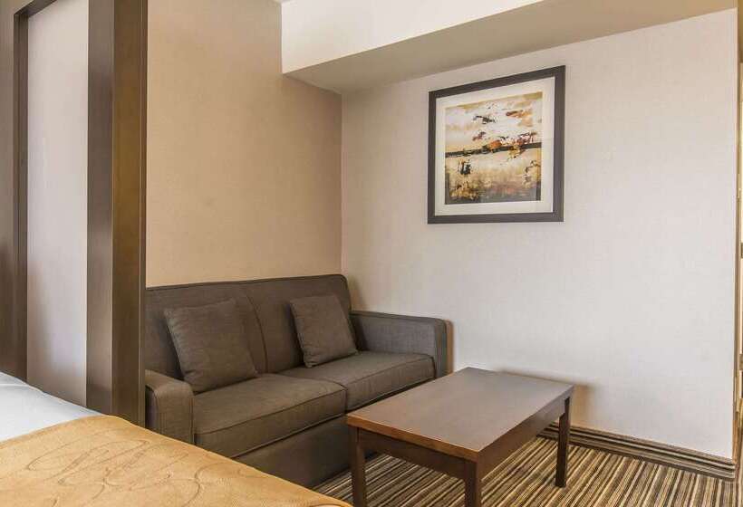 هتل Comfort Suites Downtown