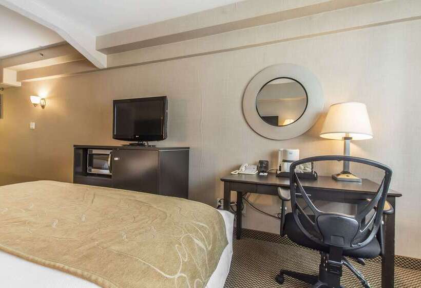 فندق Comfort Suites Downtown