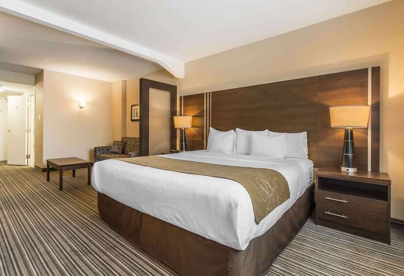 فندق Comfort Suites Downtown