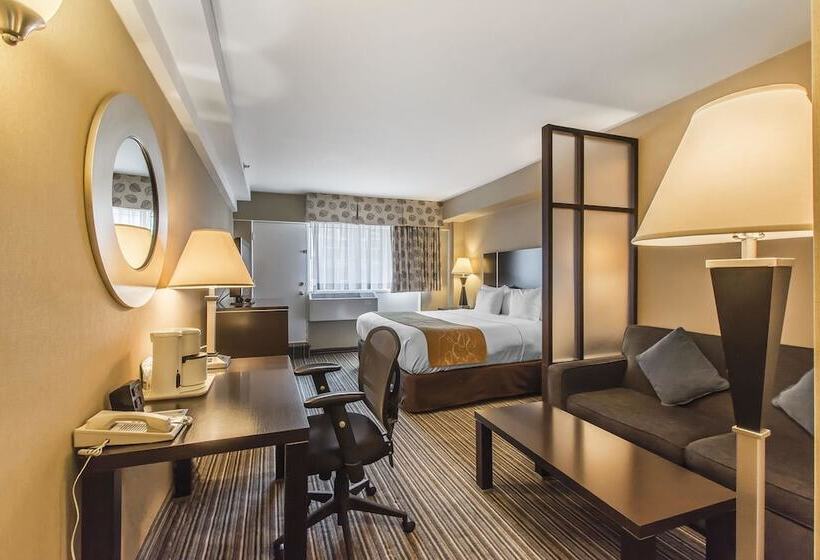 هتل Comfort Suites Downtown