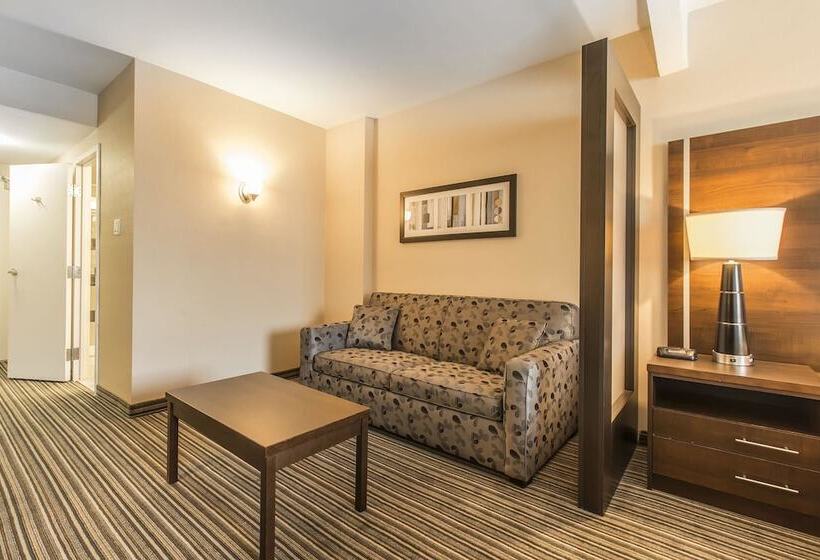 فندق Comfort Suites Downtown