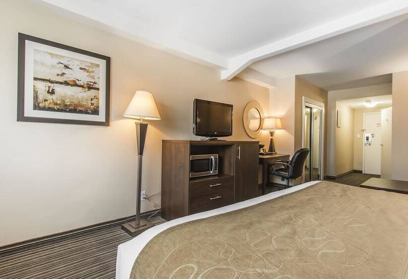 هتل Comfort Suites Downtown