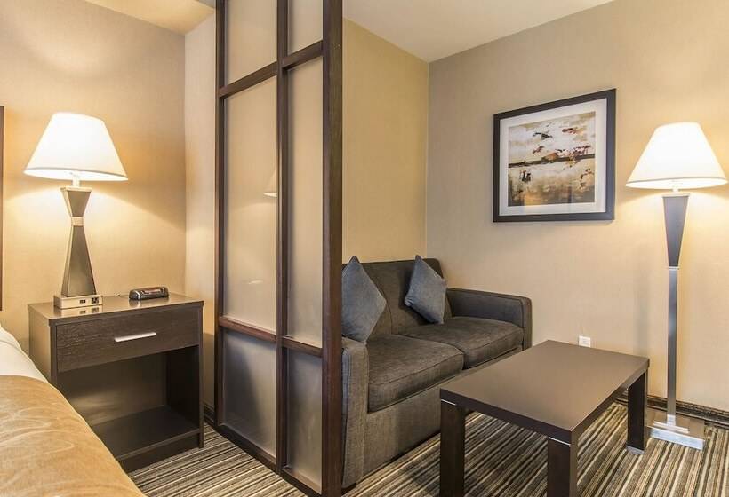 فندق Comfort Suites Downtown