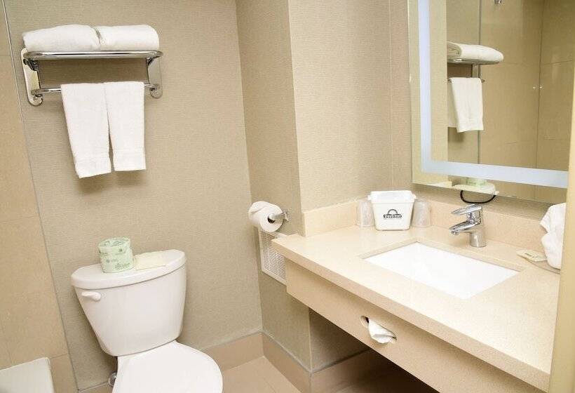 Hotel Days Inn By Wyndham Ottawa