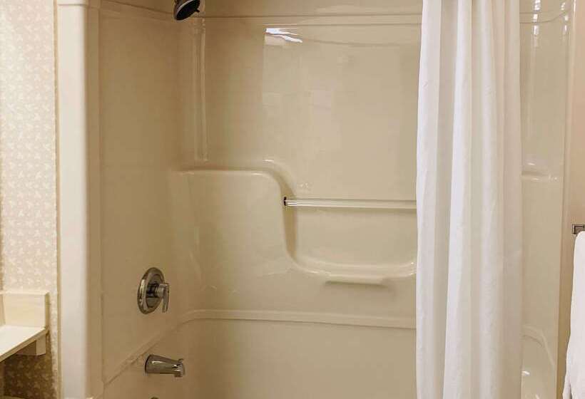 בית מלון כפרי Econo Lodge Airport Quebec