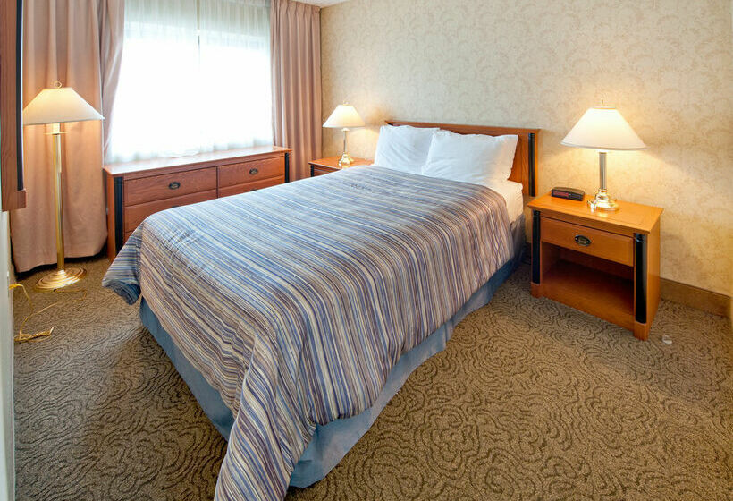 בית מלון כפרי Four Points by Sheraton Montreal Centre Ville