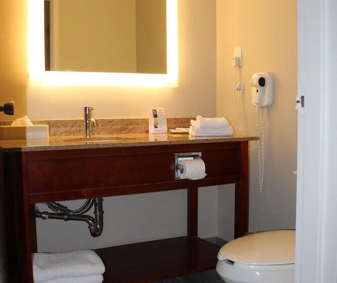 هتل Surestay Plus By Best Western Windsor