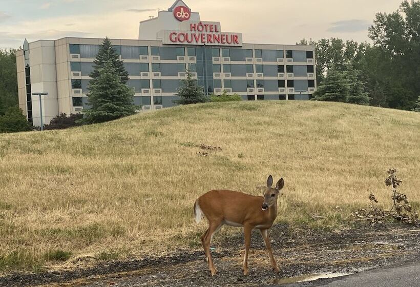 Hotel Hôtels Gouverneur Montréal   île Charron