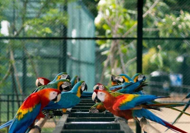 هتل Peacock Beach Resort & Spa