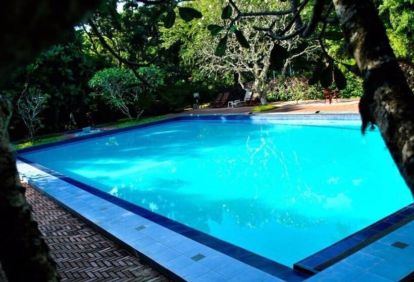 هتل Peacock Beach Resort & Spa
