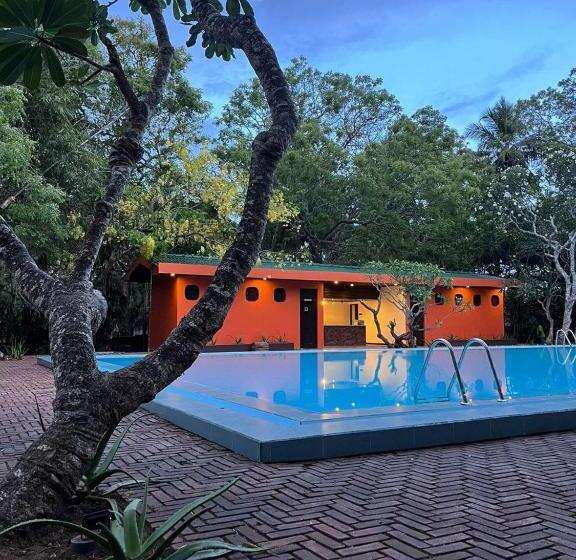 هتل Peacock Beach Resort & Spa