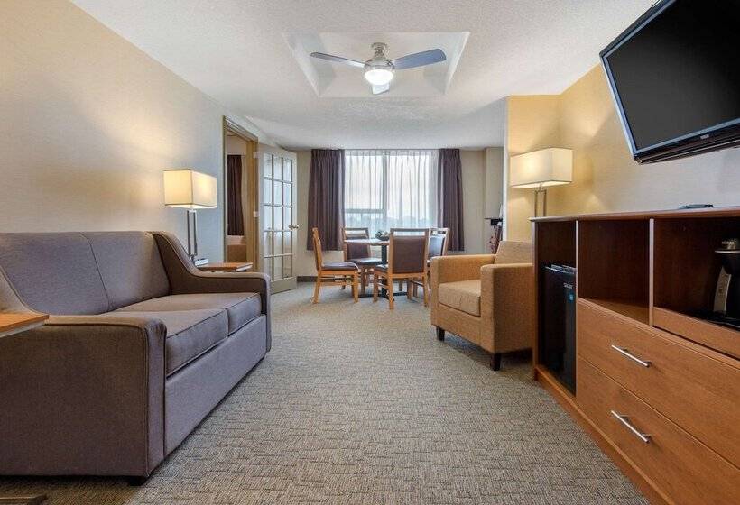 هتل Quality Inn & Conference Centre Downtown
