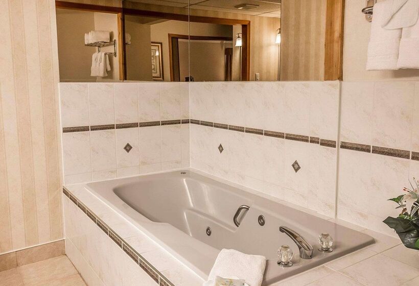 هتل Quality Inn & Conference Centre