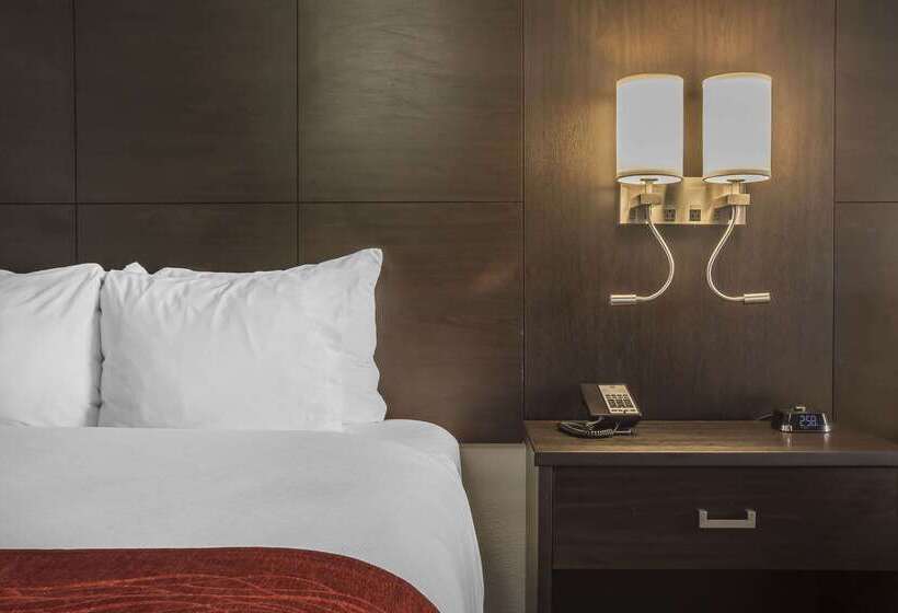 호텔 Quality Inn