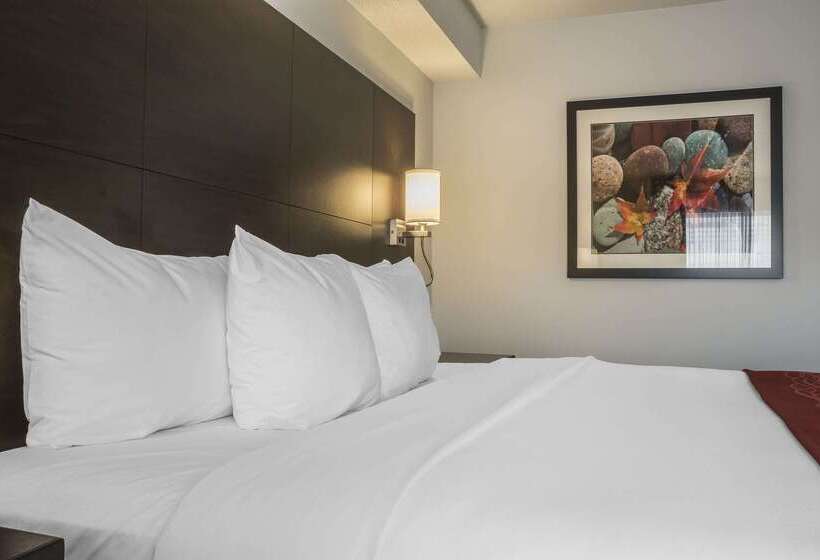 Отель Quality Inn