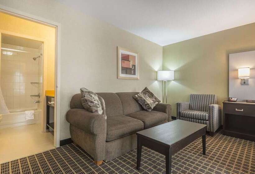 هتل Quality Inn & Suites Downtown