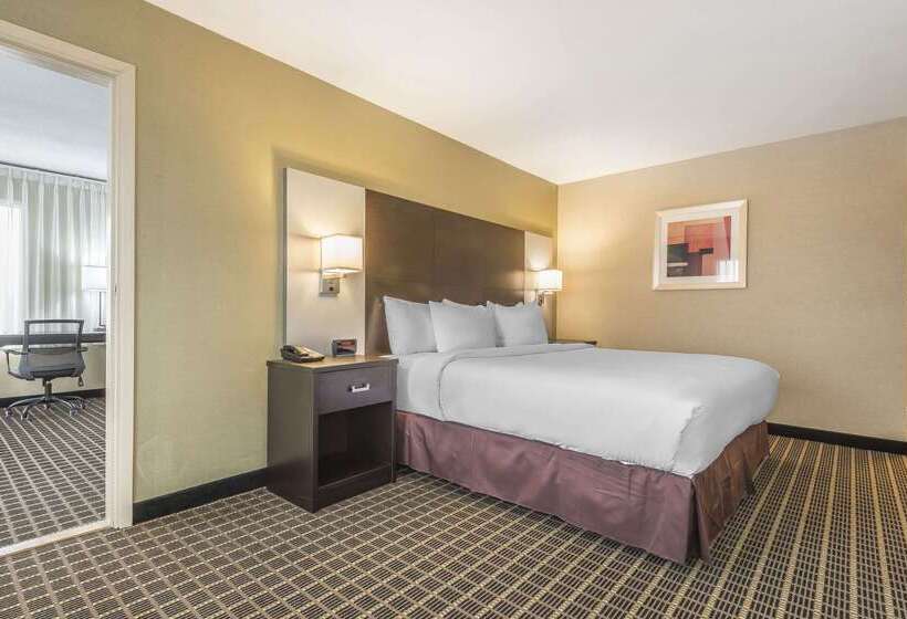 هتل Quality Inn & Suites Downtown