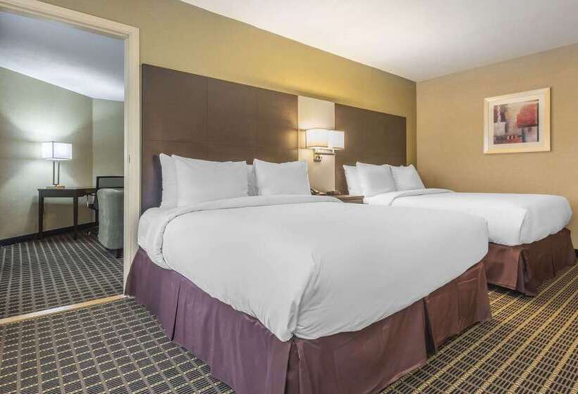 هتل Quality Inn & Suites Downtown