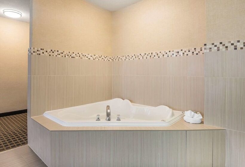 هتل Quality Inn & Suites Downtown