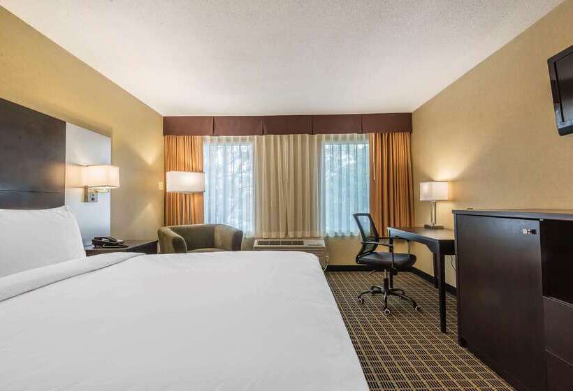 هتل Quality Inn & Suites Downtown