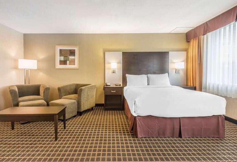 هتل Quality Inn & Suites Downtown