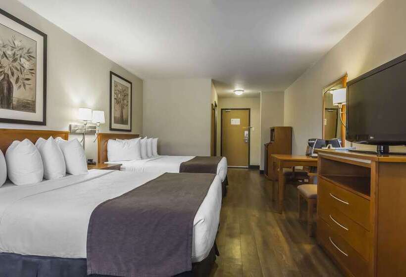 هتل Quality Inn & Suites