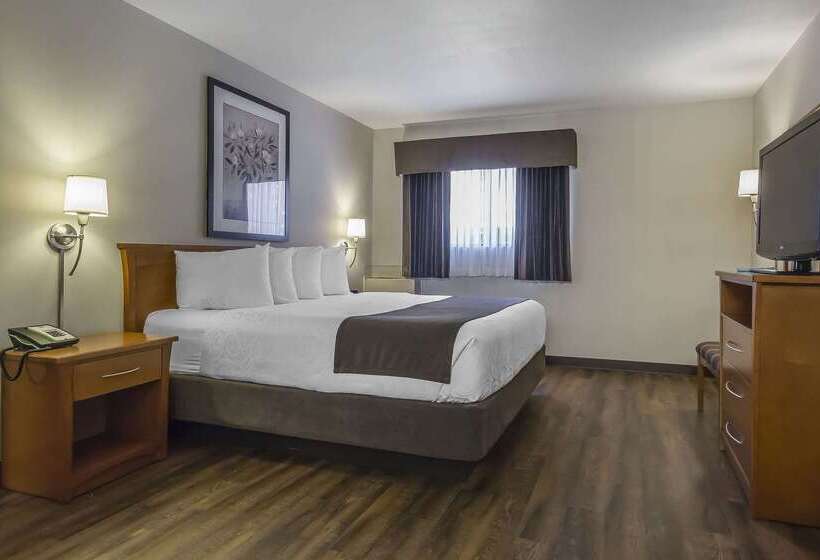 هتل Quality Inn & Suites