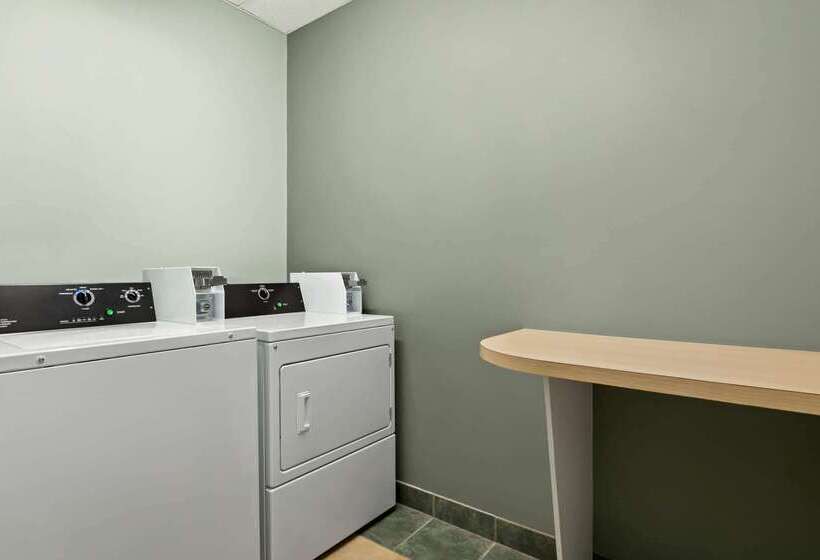 هتل Ramada By Wyndham Niagara Falls Near The Falls