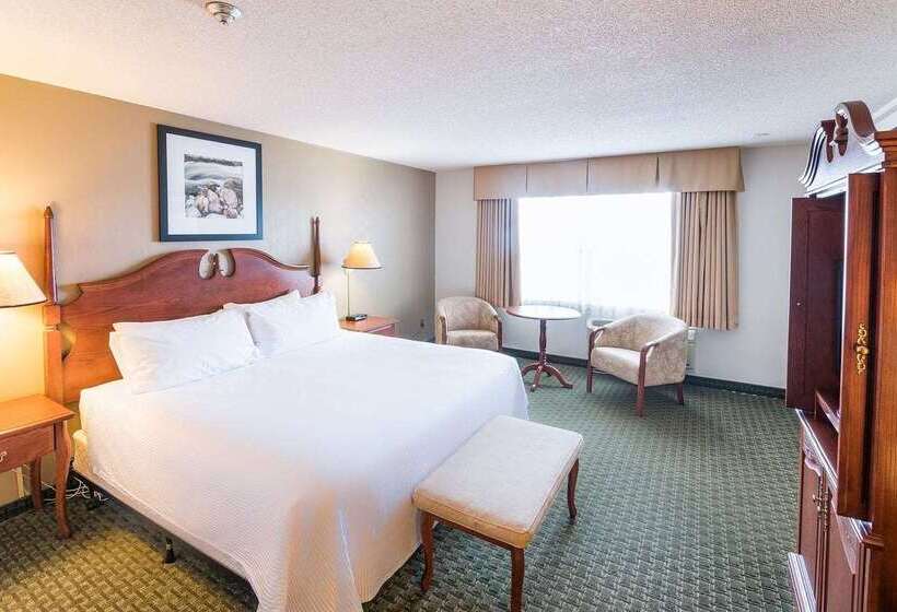 Hotel Ramada By Wyndham Thunder Bay Airlane