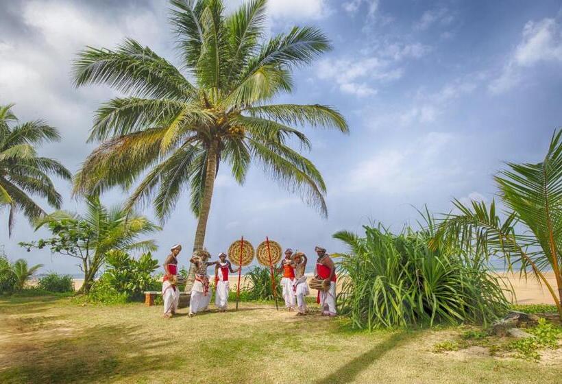 Hotel Thaala Bentota