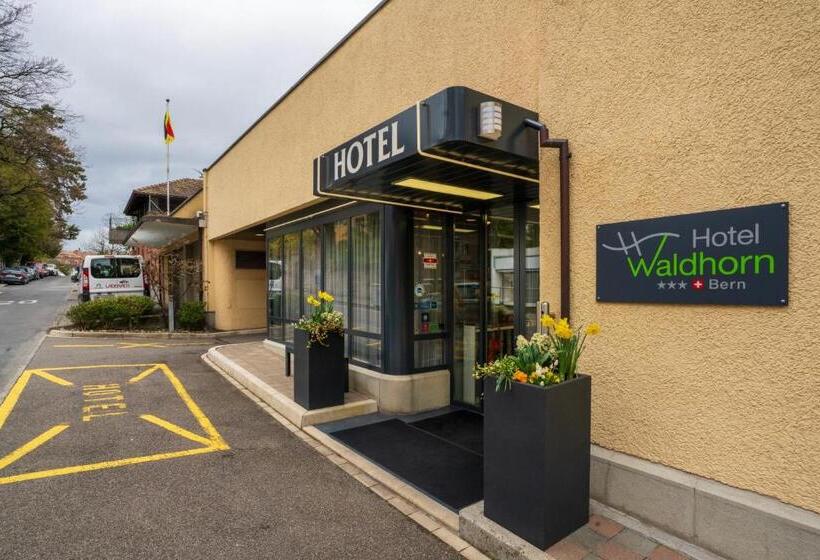 هتل Waldhorn