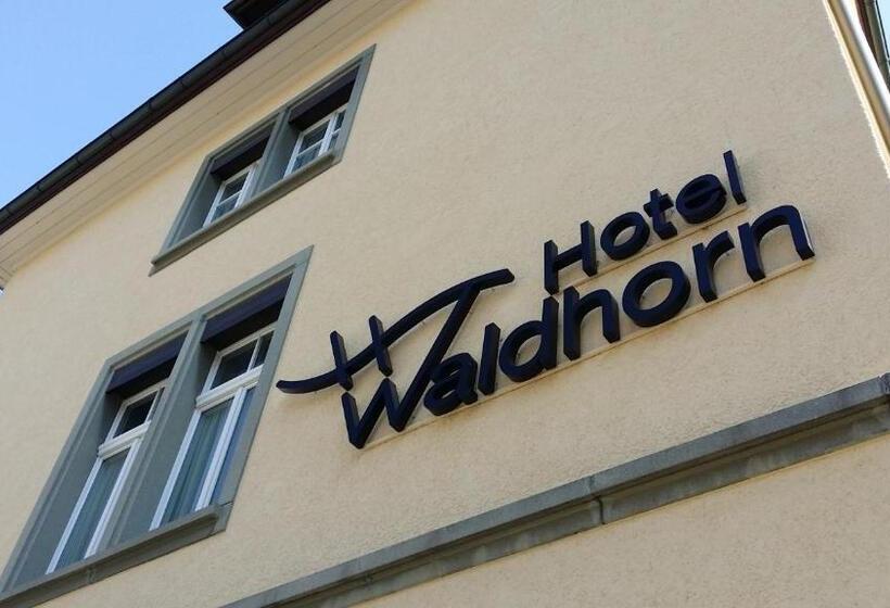 هتل Waldhorn