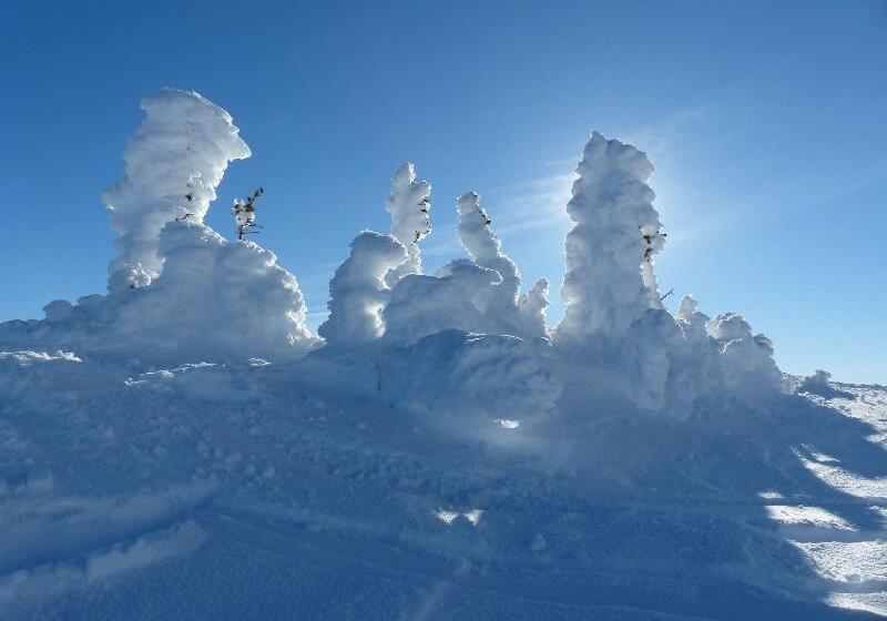 リゾートホテル Inn At Big White