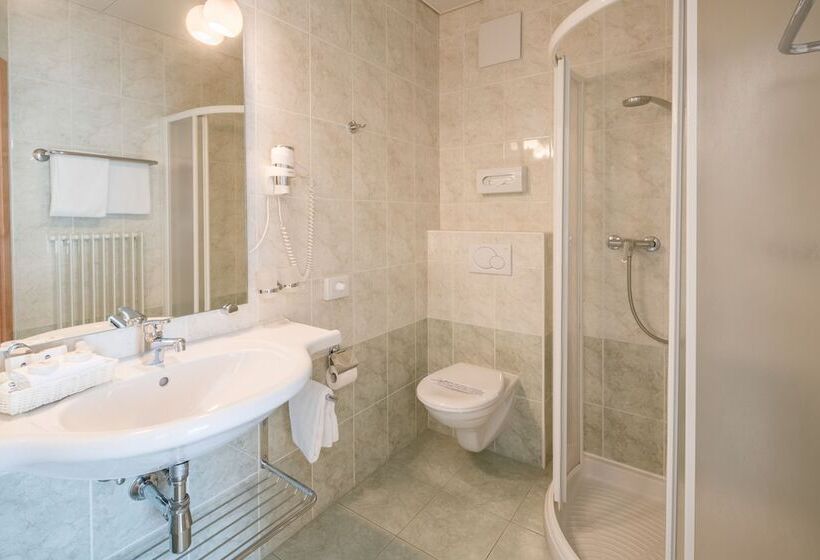 Best Western Hotel Bellevue Au Lac