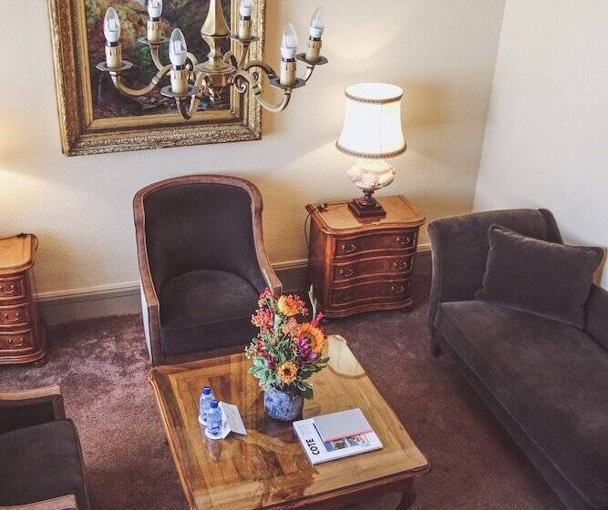 酒店 De La Cigogne